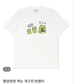 チムチャクマン 冷麺食べるカエルTシャツ 침착맨 평양냉면 먹는 개구리 반팔티