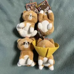 猫のぽんた　いろんなポーズマスコット　全4種セット