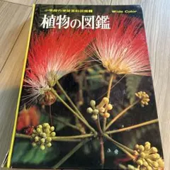植物の図鑑