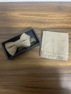 Item thumbnail for item 79ff8793-a790-458a-accb-2c713a0a9aba