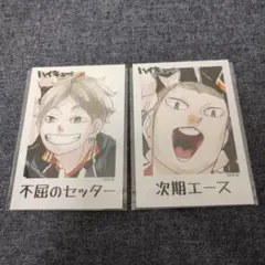 ハイキュー　烏野羽クッキー　イラストカード