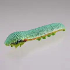 カプセルQミュージアム イモコレ3 ツマベニチョウ