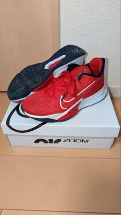 nike air zoom bb nxt 27cm