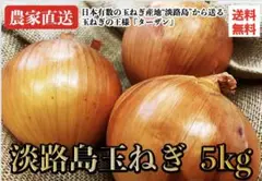★淡路島産★産地直送!淡路島玉ねぎ【秀品5kg】(送料無料) 減農薬 野菜
