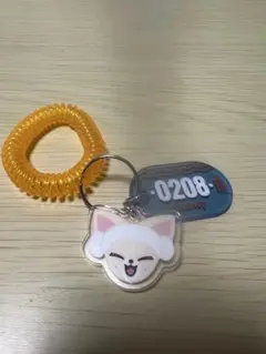 Stray Kids フォクシニー サウナキーリング スキズサウナ POPUP