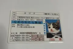 Item thumbnail for item fd7385b6-87a7-4145-85ea-8fbd1389f71b