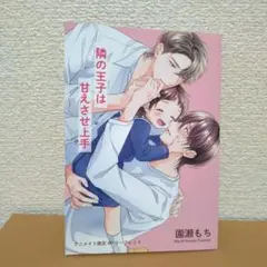 ♦️隣の王子は甘えさせ上手・リーフレット♦️商品説明必読♦️