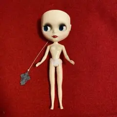 ネオブライス ドーンティング・ドゥルーシラ　頭皮なし本体