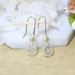綿毛を閉じ込めた ピアス❤️ タンポポ 花 フラワー ボヘミアン エスニック