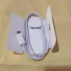 純正Apple Watch 充電ケーブル アップルウォッチ USB-Cケーブル