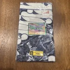 Item thumbnail for item a5278709-38ac-48b6-824f-953930d094f1