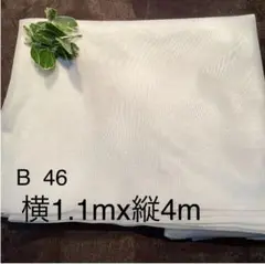 Item thumbnail for item 20201975-3966-47a8-8059-e843ccf3ea71