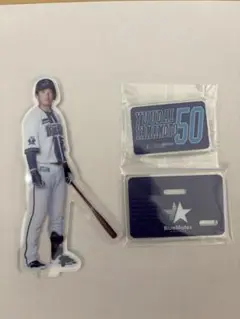 横浜DeNAベイスターズ 山本祐大　アクリルバッジ