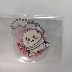 【匿名配送】ちいかわ アクリルキーホルダー ボールチェーン ラッコ