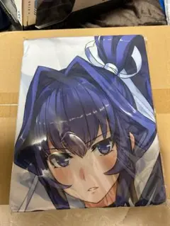 ★【未開封】マブラヴ オルタネイティヴ エレン・エイス 抱き枕カバー m99325835040_1.jpg?1744983354