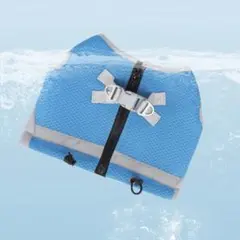 Item thumbnail for item f3e4bf04-c97b-41f0-a837-ce52e882a9a0