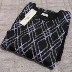 Item thumbnail for item 3b56a890-5248-459f-b17c-a44ce9167c4c