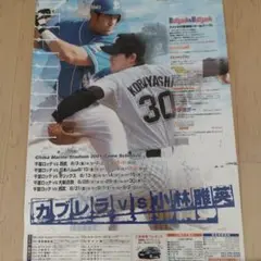 千葉ロッテマリーンズ 日程ポスター