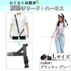 Item thumbnail for item 4da9155d-502d-45e9-8ec2-ef5dae796b37