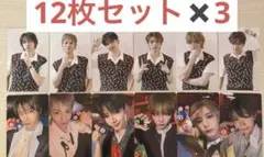 BOYNEXTDOOR BOYLIFE 通常盤 封入 トレカ 12種コンプ ×3