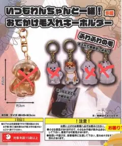 いつもわんちゃんと一緒　おでかけ毛入れキーホルダー