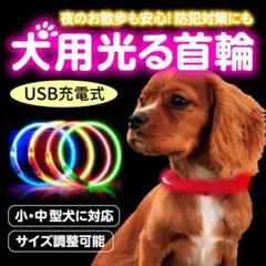 首輪 オレンジ 犬 光る 夜の散歩 LEDライト USB充電 ドッググッズ 安全