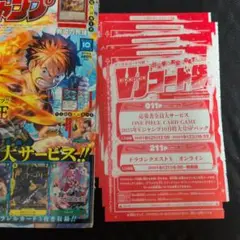 ワンピースカード　Vジャンプ10月号付録　4枚