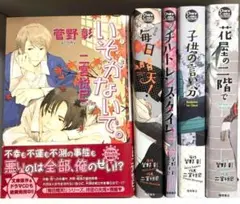 新装版 毎日晴天 シリーズ 二宮悦巳 菅野彰 BL 漫画 5冊 ボーイズラブ