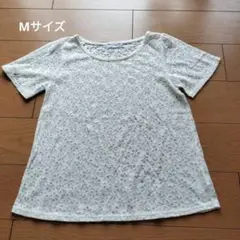 Item thumbnail for item 14133b1d-4355-449d-9b87-018769d9d3eb