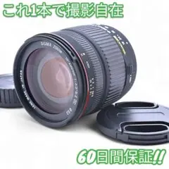 Item thumbnail for item 38b9fcde-68f5-48d7-9563-04833555e2e7