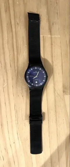 スカーゲン 時計