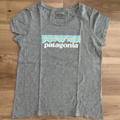パタゴニアTシャツ