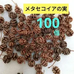 Item thumbnail for item cd67a81a-af6e-43e1-bb14-f6f43218b056