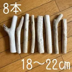 ◾️夏休みの工作に◾️自由研究◾️18〜22㎝◾️流木◾️まとめ売り◾️新品◾️手触り良好◾️