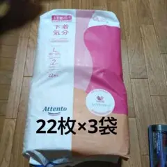 Item thumbnail for item fad35210-8ec3-4cfa-970e-3f586e752471