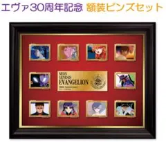 「新世紀エヴァンゲリオン」30周年記念 額装ピンズセット