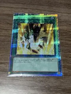 ダークフュージョン 25th