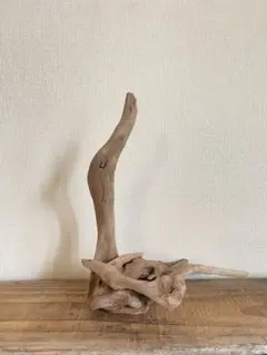 流木 インテリア　オブジェ