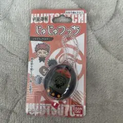 新品未使用　呪術廻戦　じゅじゅつっち 虎杖悠仁　いたどりっちカラー