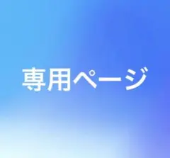 専用ページ