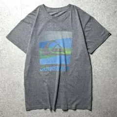QUIKSILVER 企業ロゴ　波ロゴ　サーフ　スケート　　ストリート　灰色