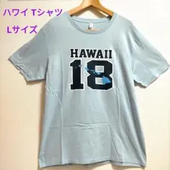 「未使用に近い」Hawaii 限定Tシャツ ’ 男女兼用 ’ Lサイズ
