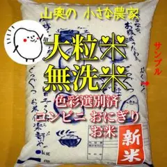 新米 棚田の幻の 大粒米 酵素米 お米 玄米 5キロ「無洗米 に精米」希少