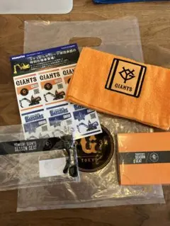 読売ジャイアンツシーズンシート　非売品セット