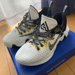 ヤニス イモータリティ GIANNIS IMMORTALITY