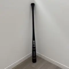 Item thumbnail for item fb0a0dd2-c2e4-4899-9022-beccd3dcac79