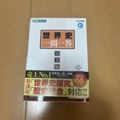 世界史　一門一答　（新品未使用）