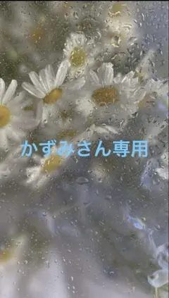 かずみさん専用