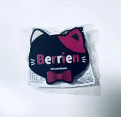 Item thumbnail for item b697c6db-c800-4678-8a07-9ddadf418c5b