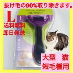 Item thumbnail for item e03d8066-0bc0-4c09-8549-169928c5acfc